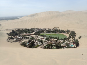 Oasis from above