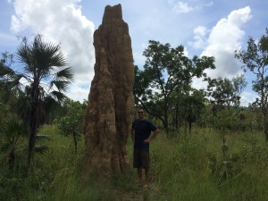 Tall termite mounds!